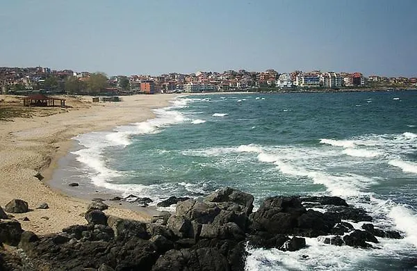 Gardenia * סוזופול